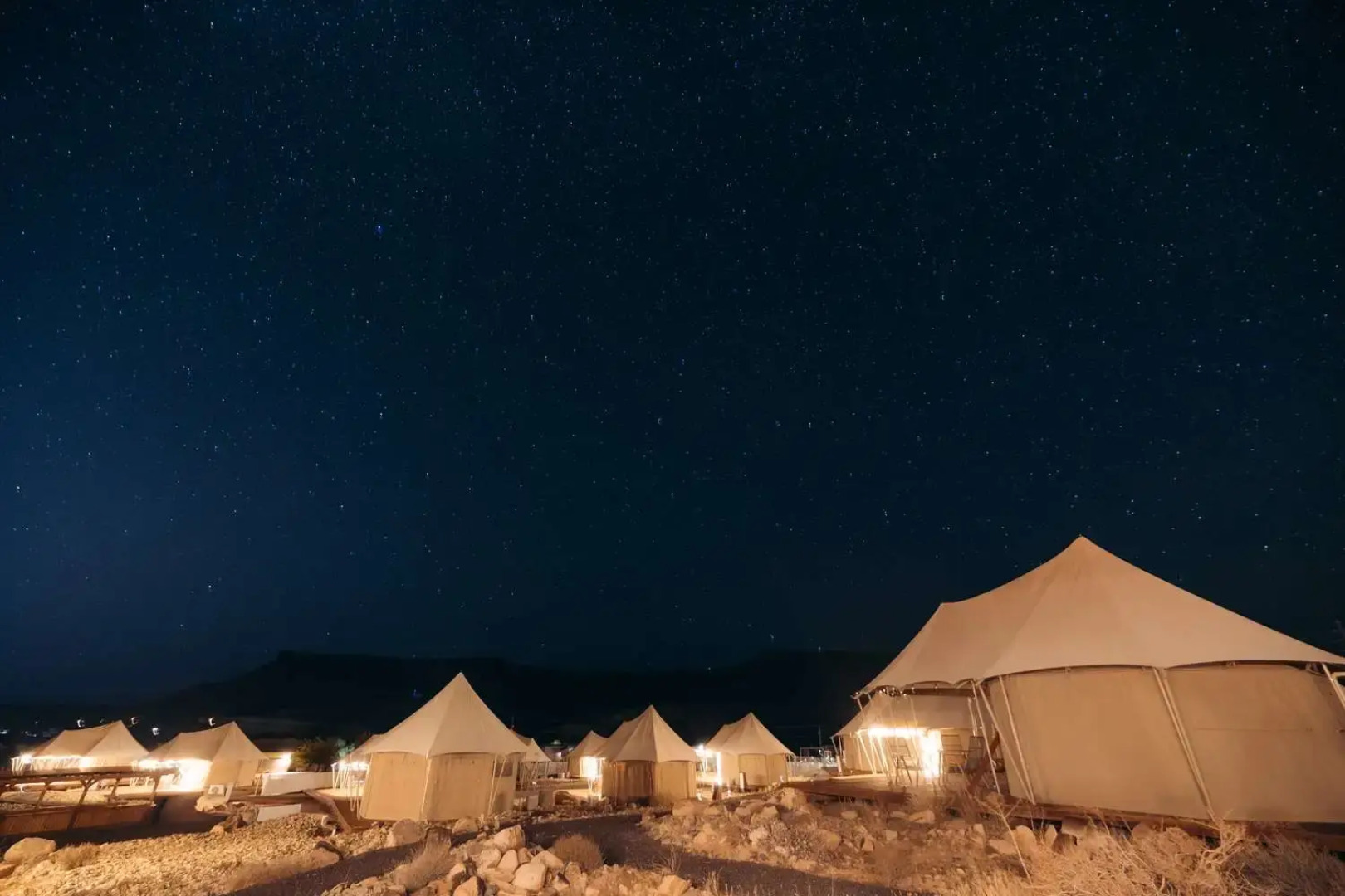 Zion Wildflower, BW Premier Collection