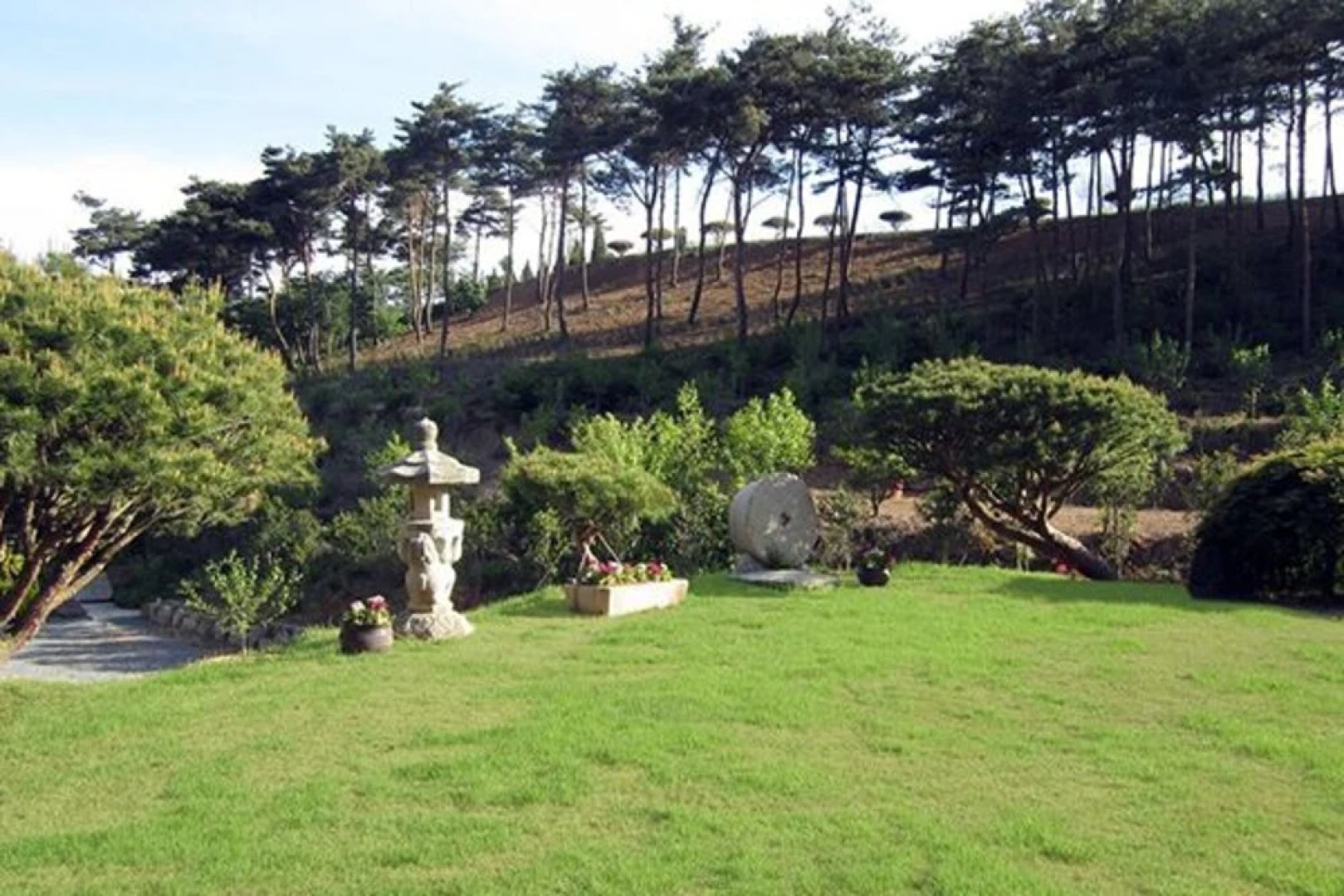Seosan Pinehealing Pension