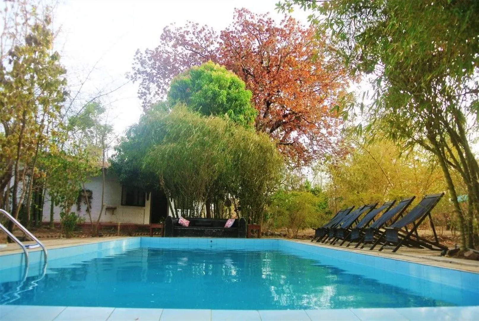 Tiger N Woods Resort