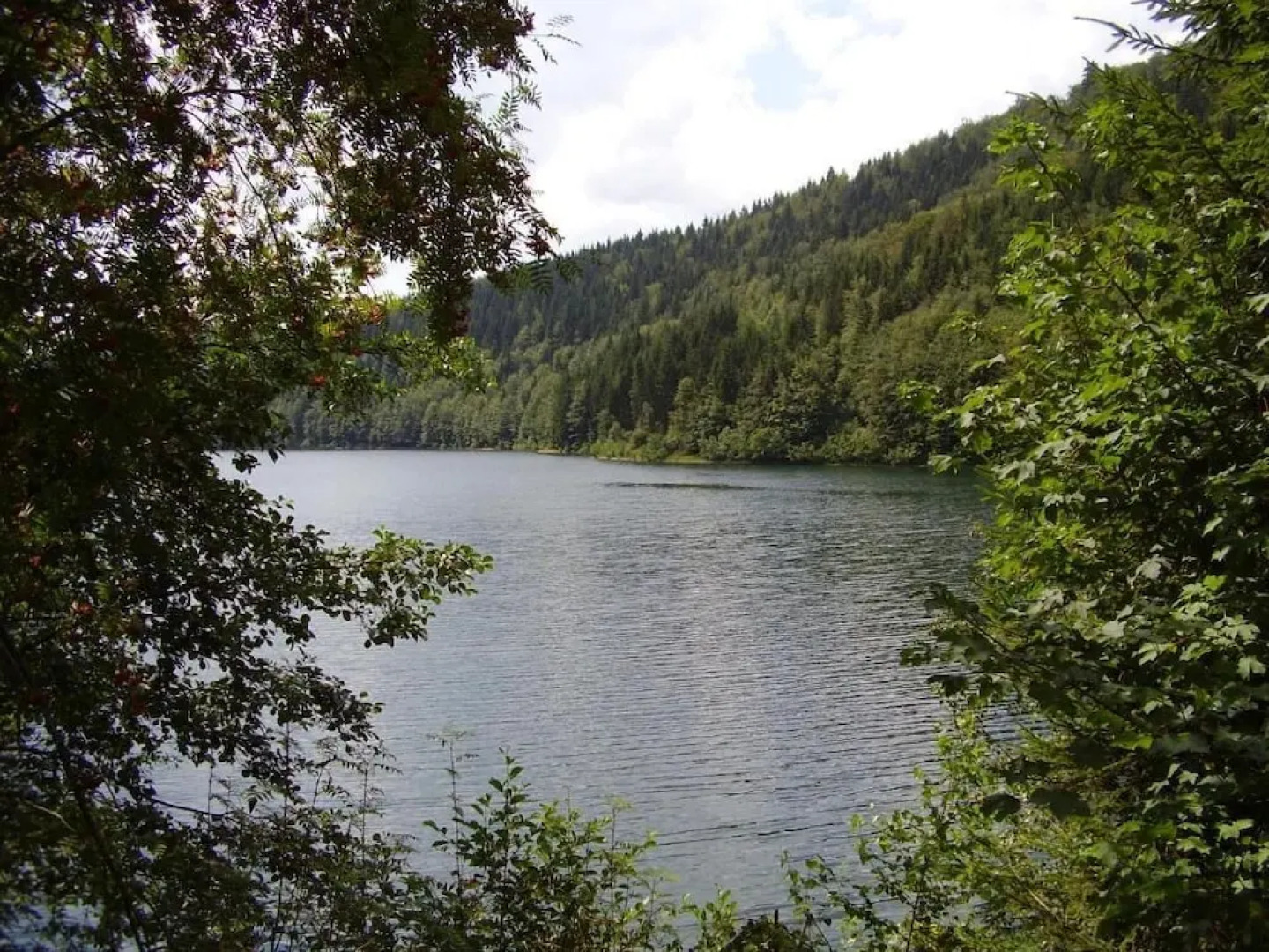 Ferienwohnung Reifberg