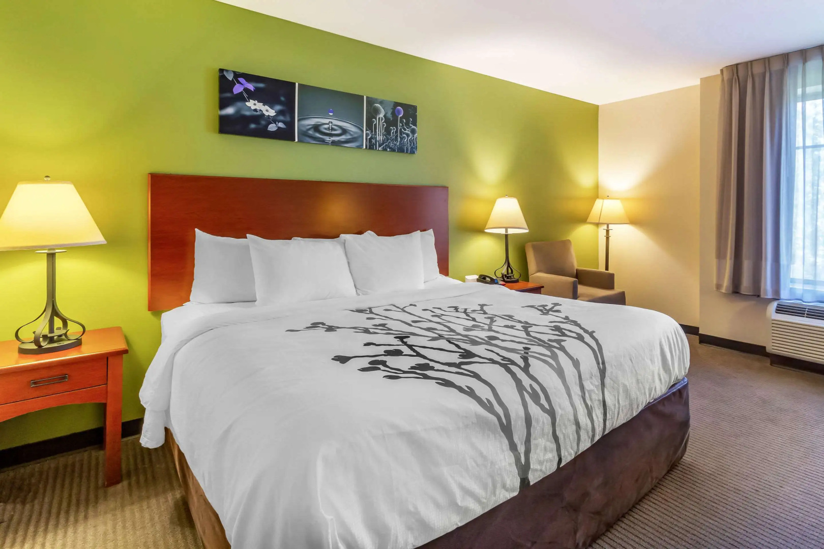 Sleep Inn & Suites Jacksonville West