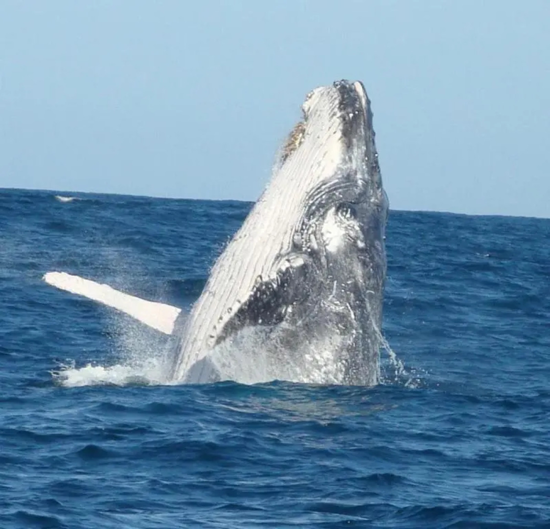 Kwalucia Private Safari Retreat