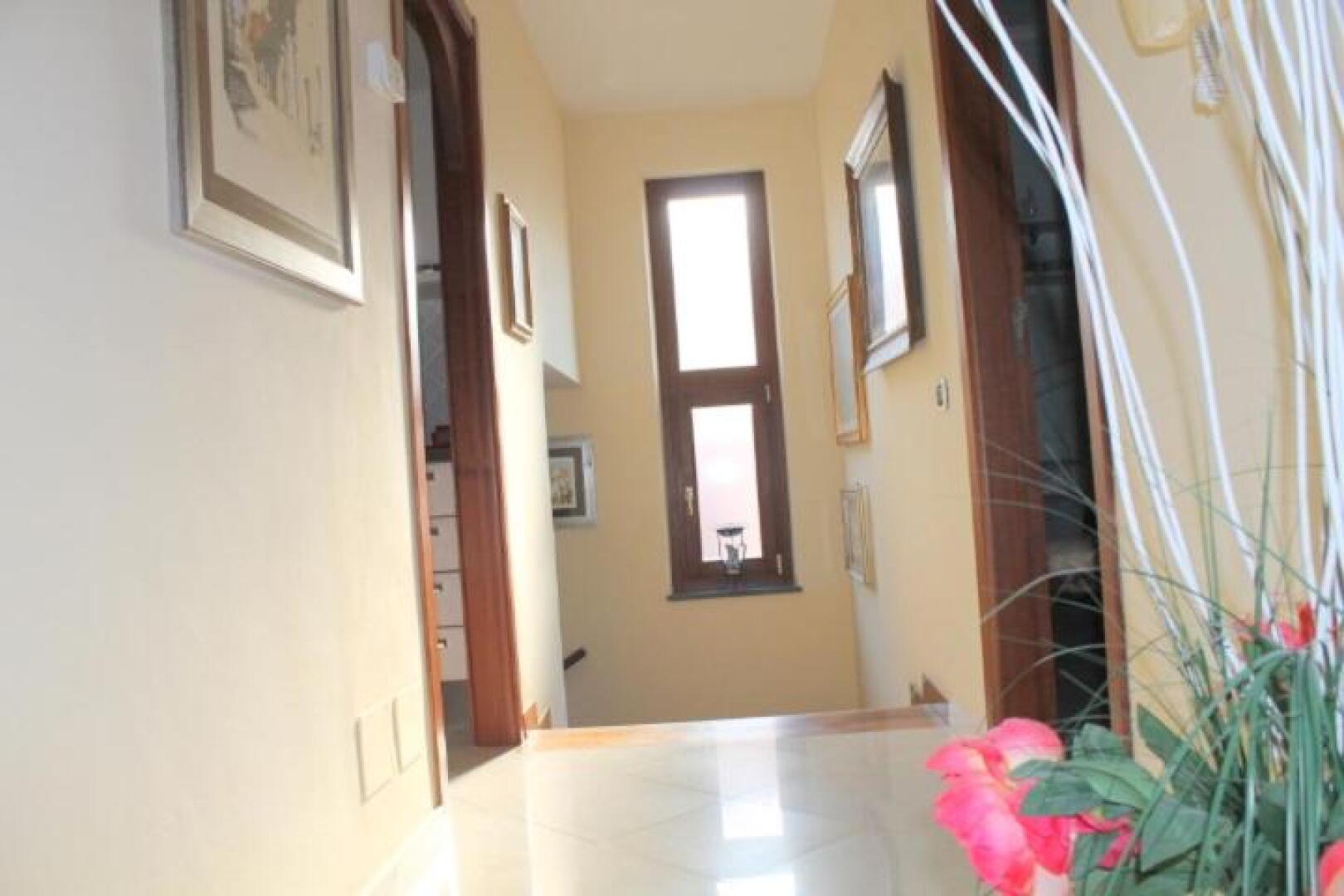 The Lemon Tree House