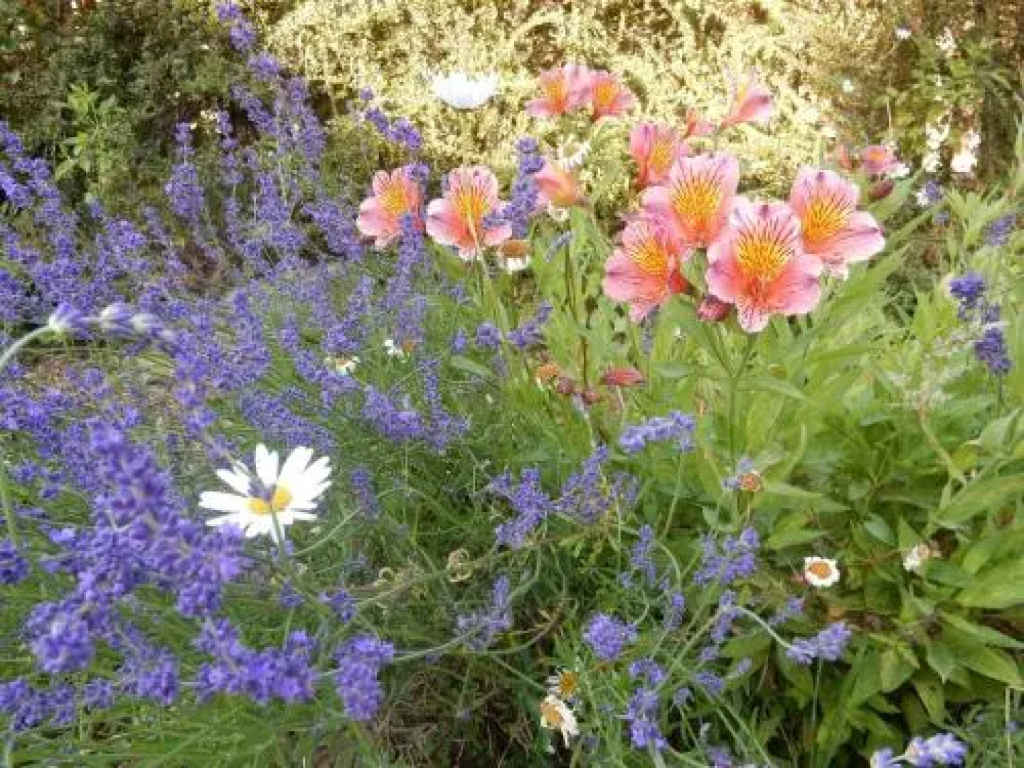 The Farm Snead Bed & Breakfast