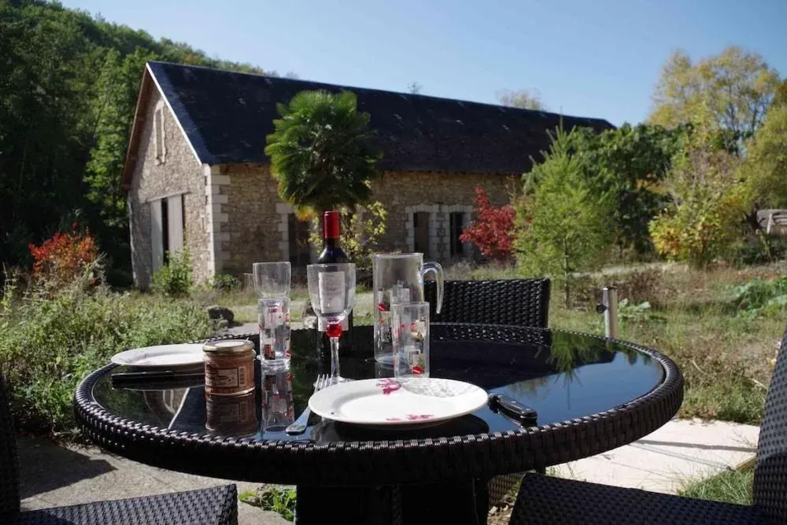 La Grenouille Qui Siffle