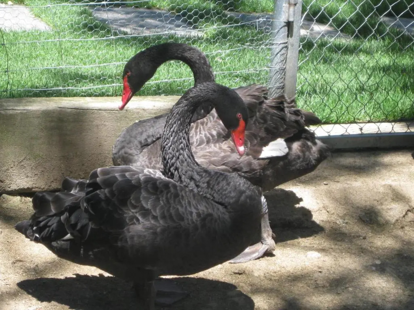 Hotel Rural Los Frutales