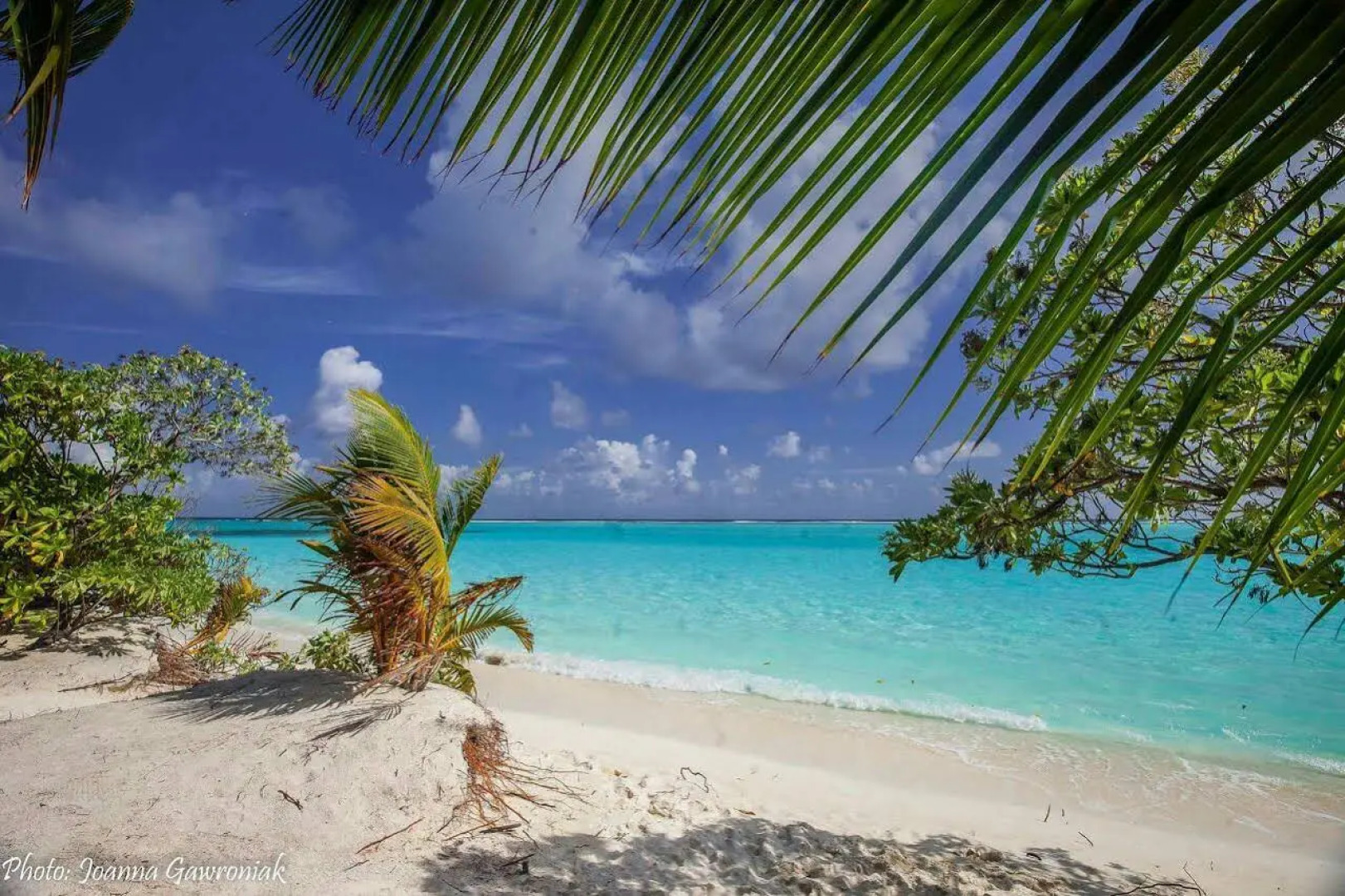 Thoddoo Beach View by Vista