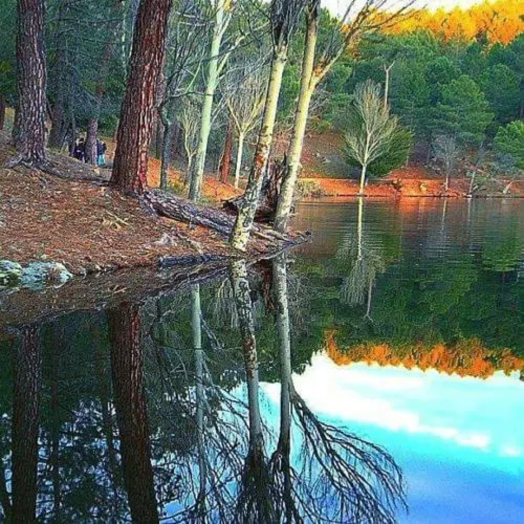 Apartamento Castilla