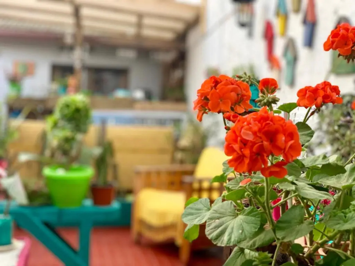 Hostal Dolegant Pichilemu