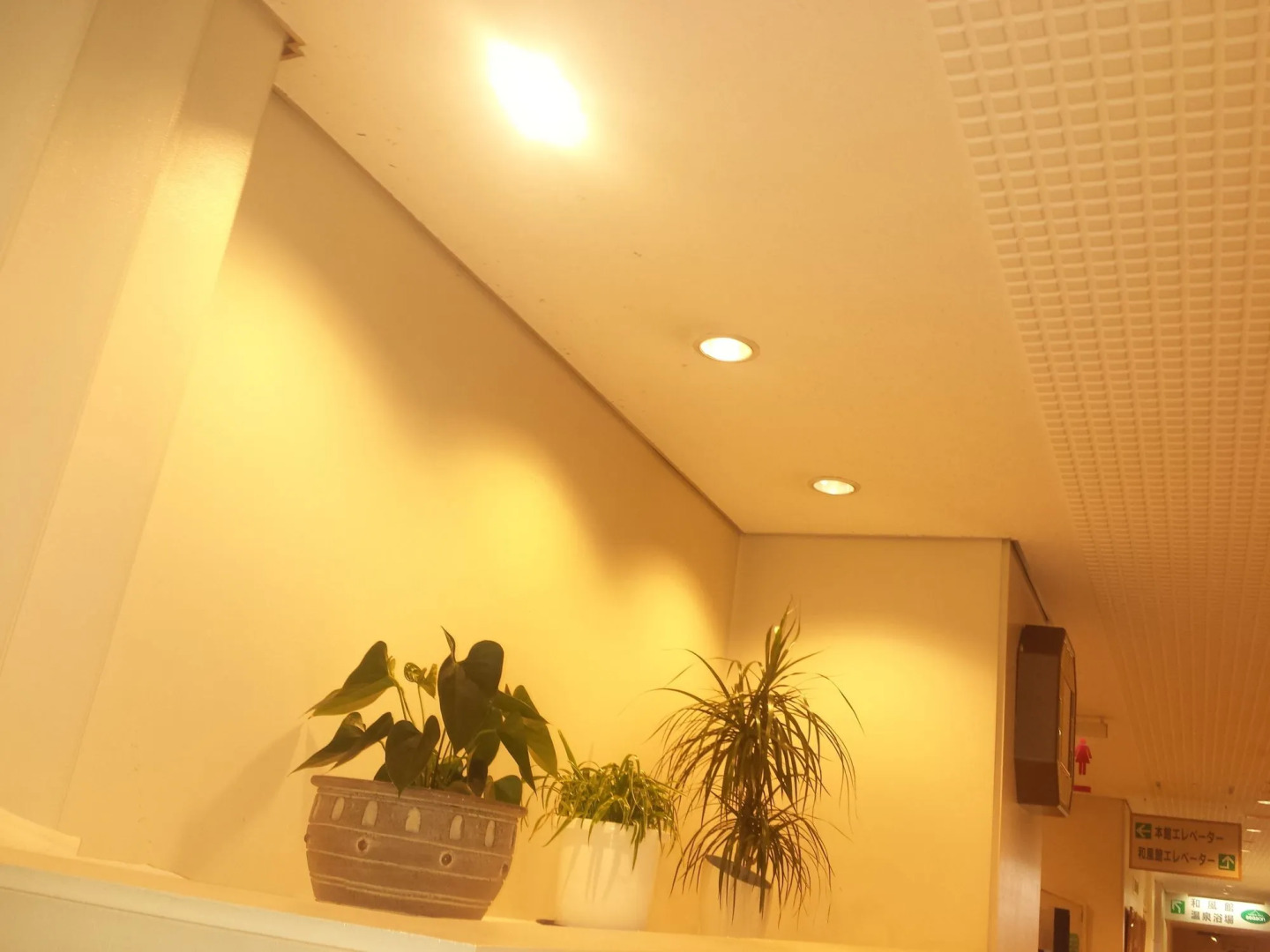 Sounkyo Mount View Hotel