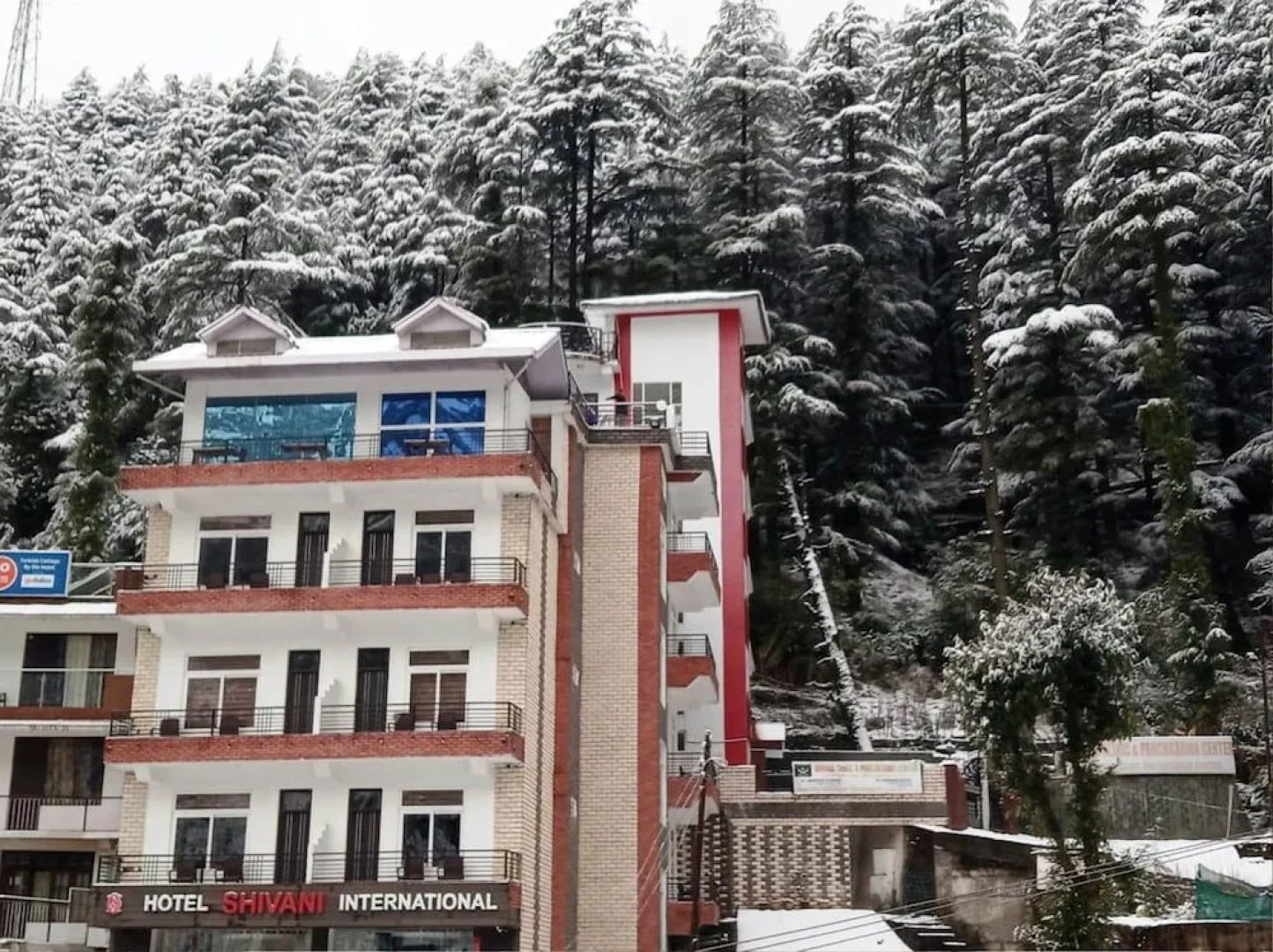 Hotel Shivani International