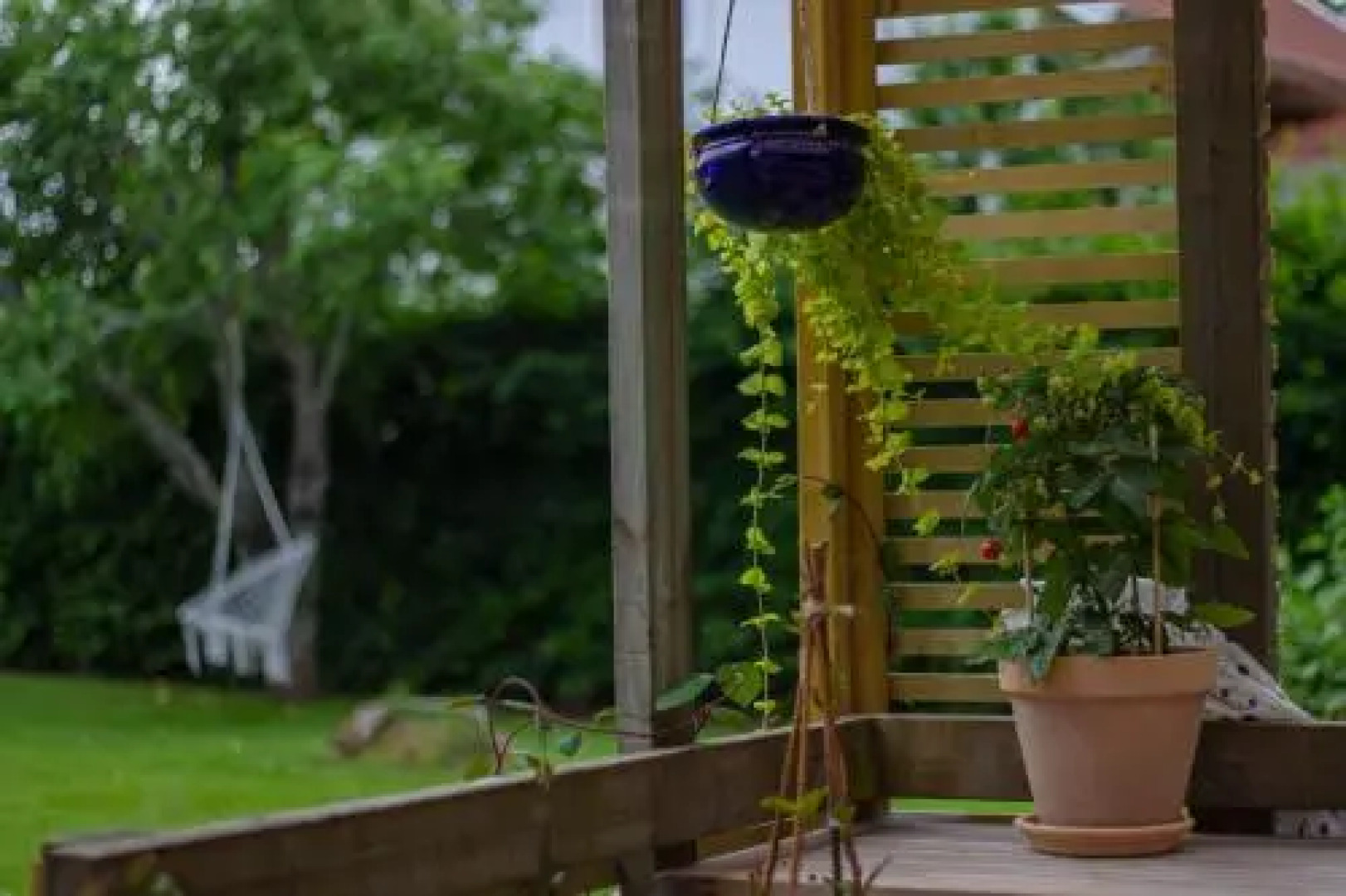 Rosenhill Bed & Breakfast