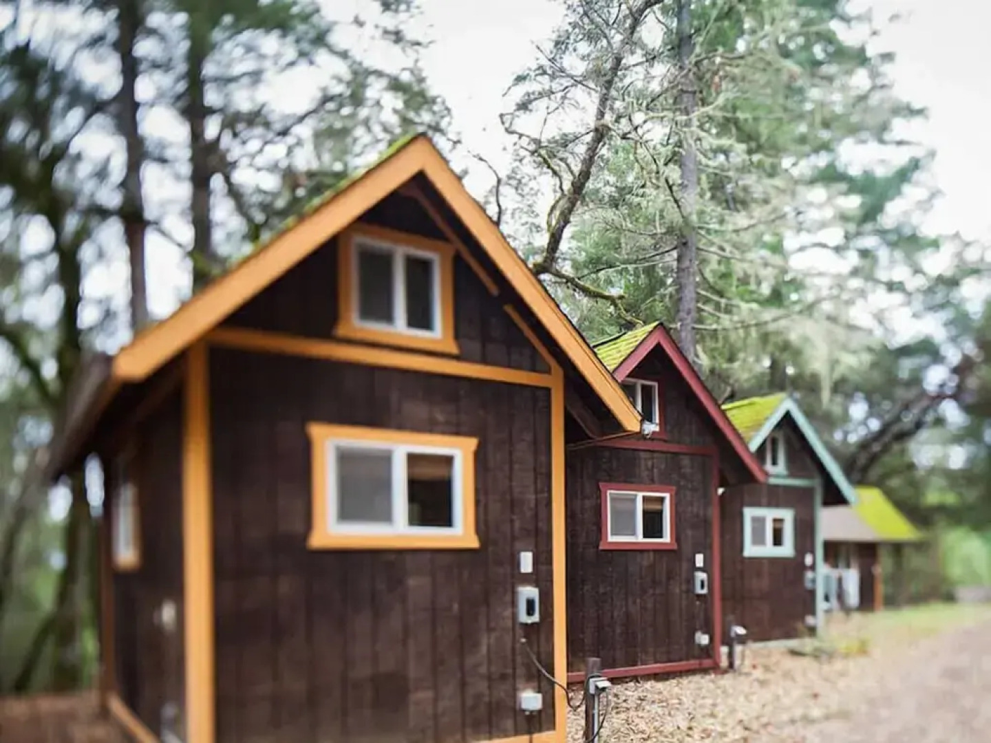 Heartwood Mountain Sanctuary