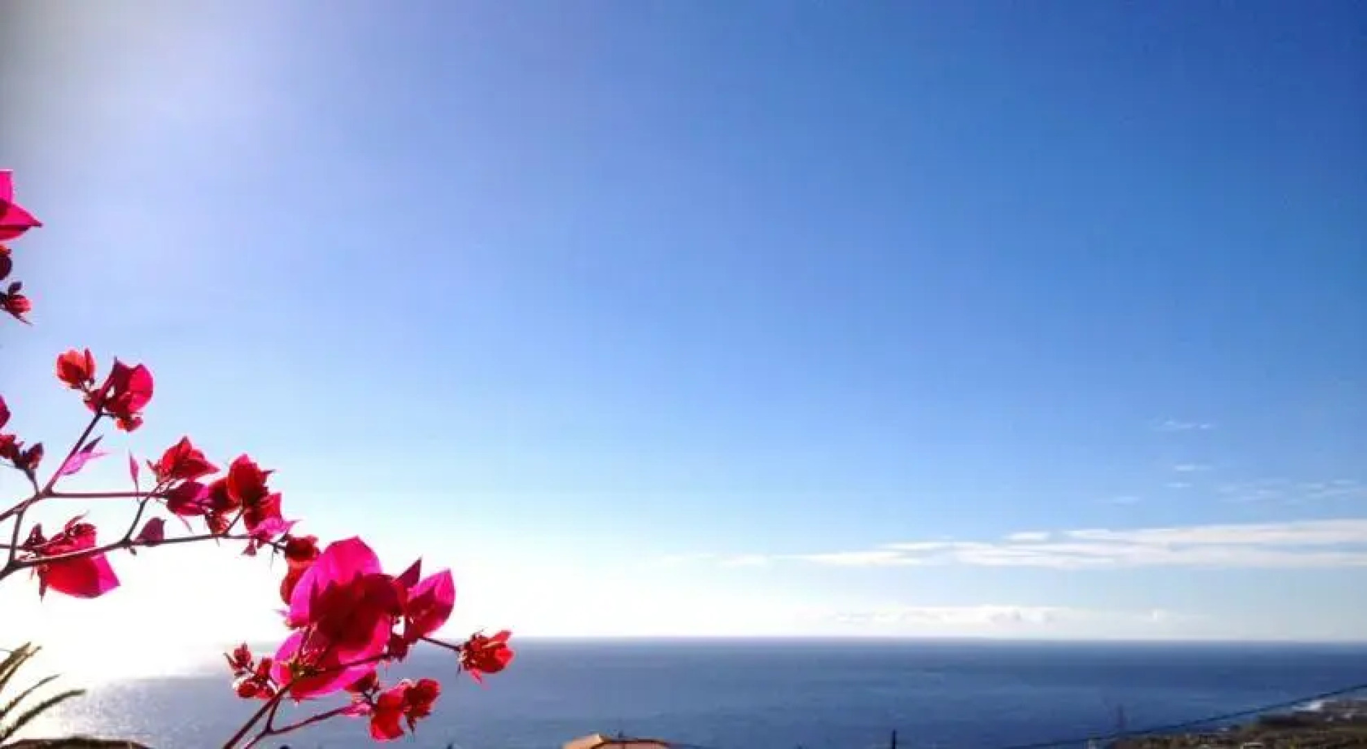 Holiday home Buganvilla