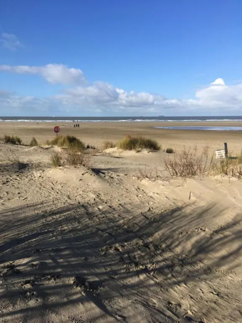 Bel appartement Zeebruges