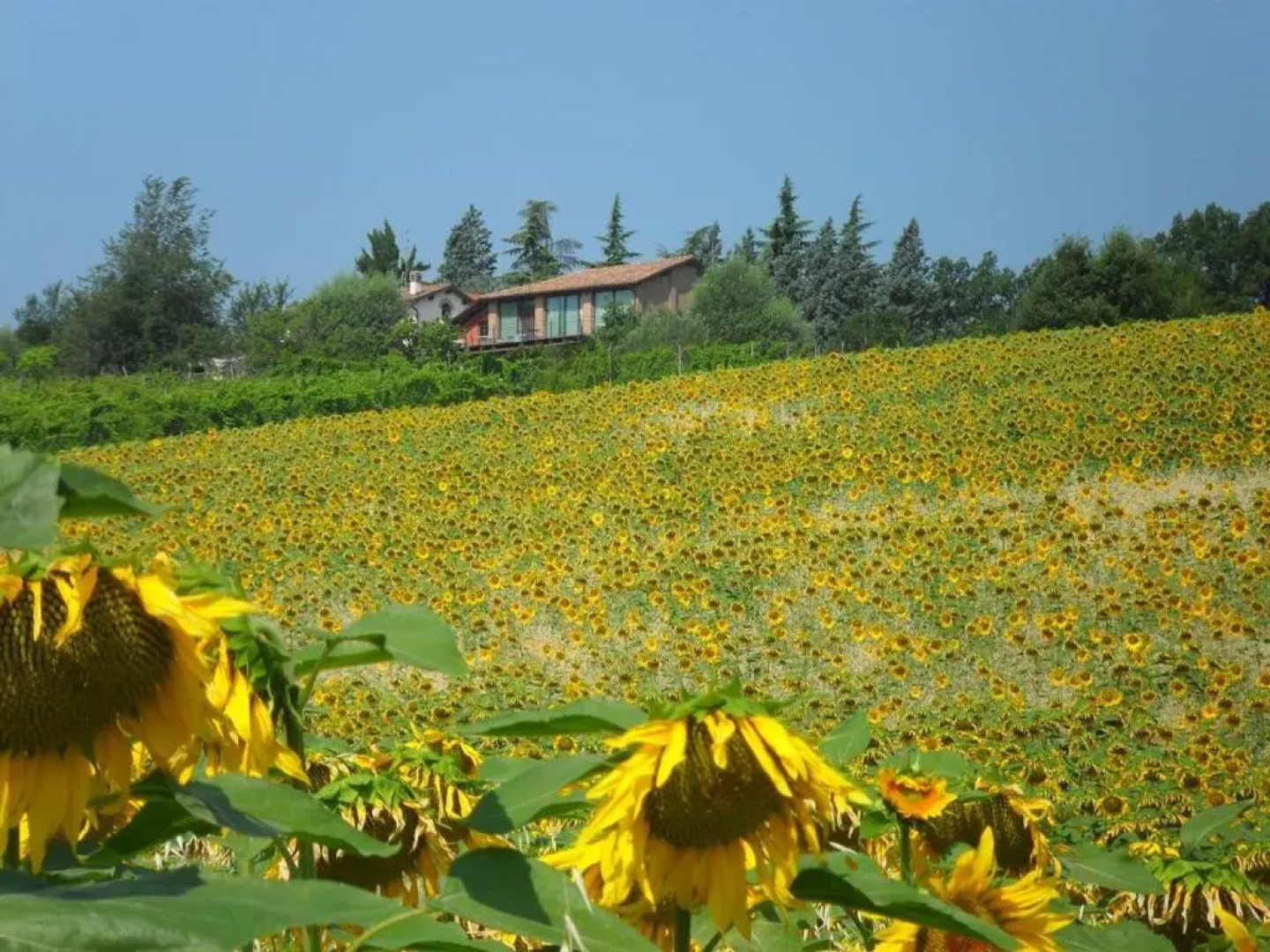 Fattoria LAlpenice Bioagriturismo
