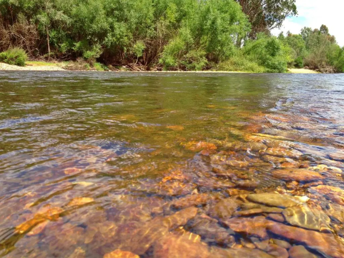 Buffalo Motel and Country Retreat