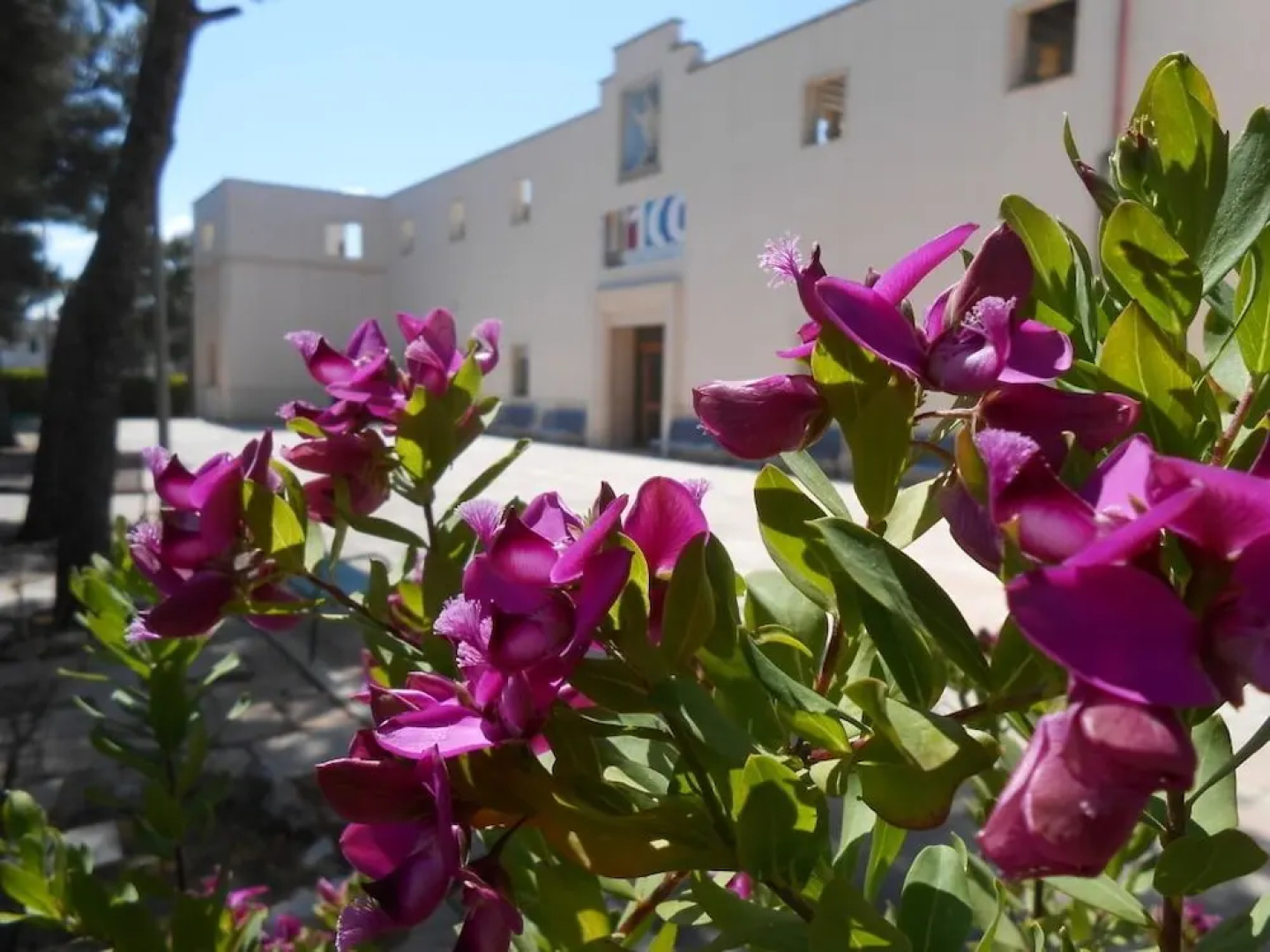 Sacro Cuore Opera Don Guanella