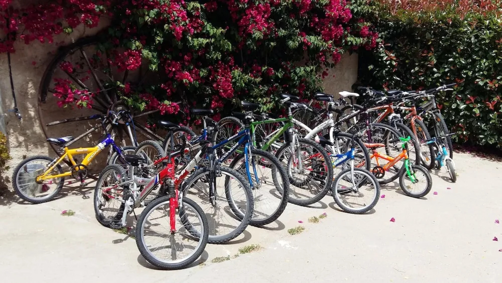 Can Ginesta Turisme Rural