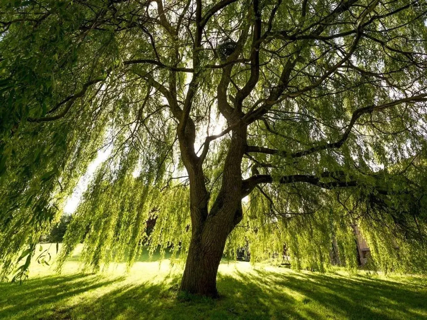 Le Vieux Chateau B&B