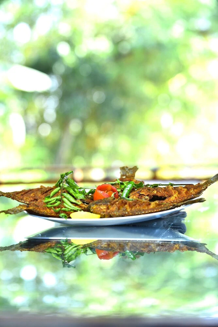 Best Kerala Houseboat