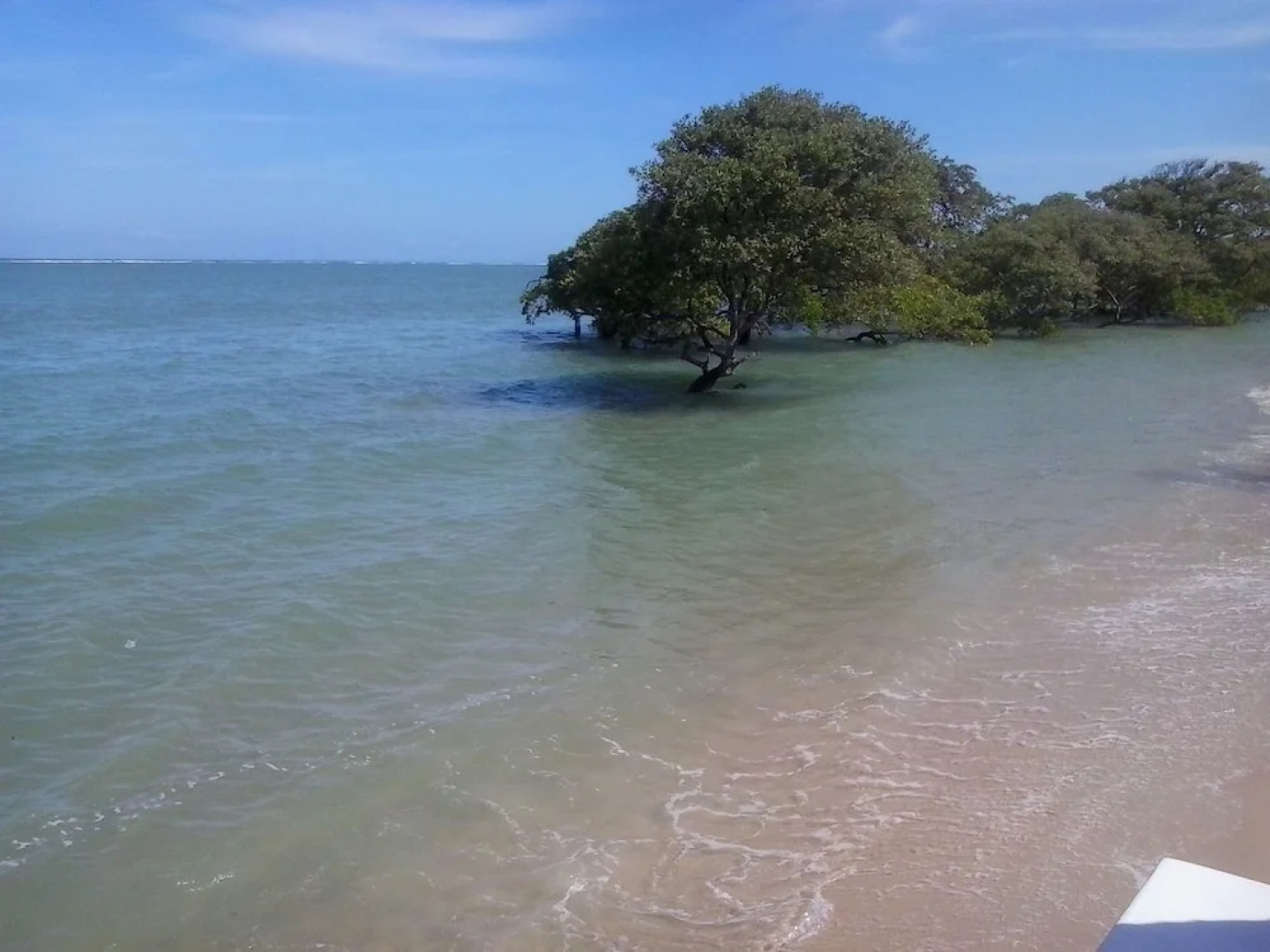 Hotel Pousada Mangrovia