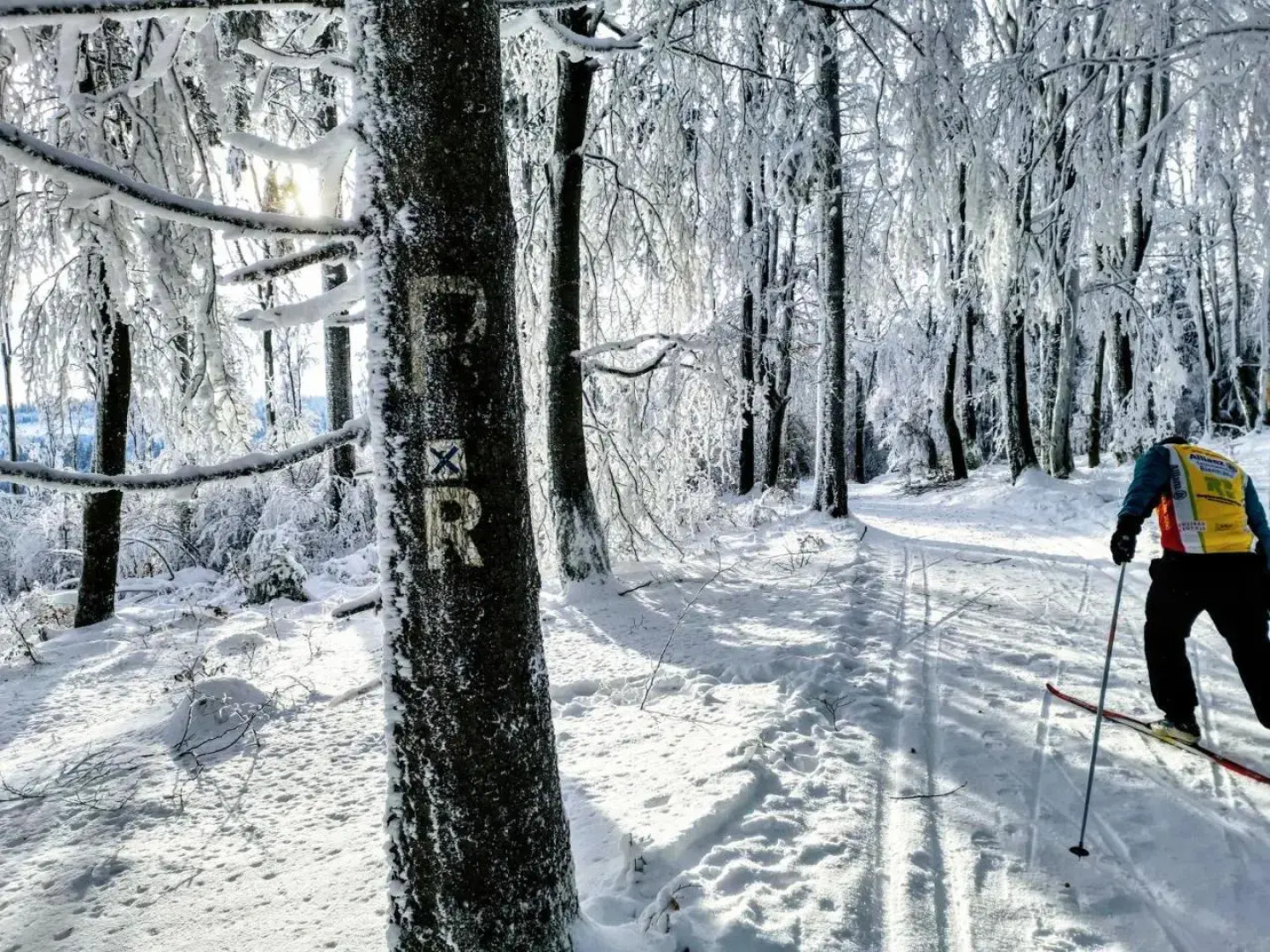 Urlaub im Blockhaus in der UNESCO-Region Thüringen