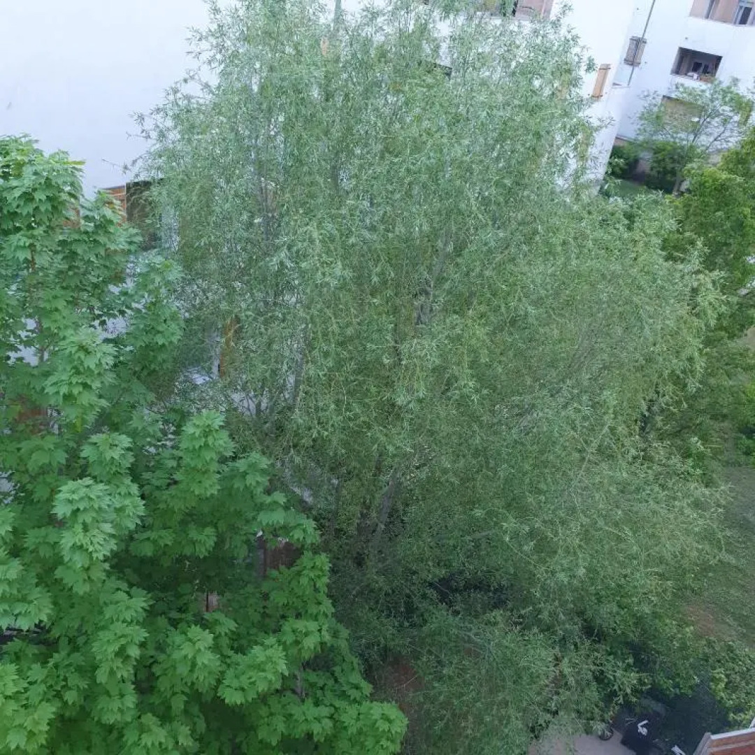 JoliT3 avec Clim NETFLIX et PRIME