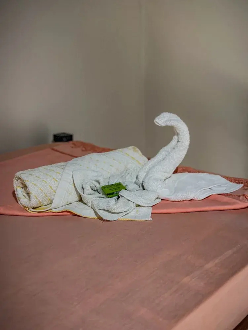 Ventanas en Corcovado