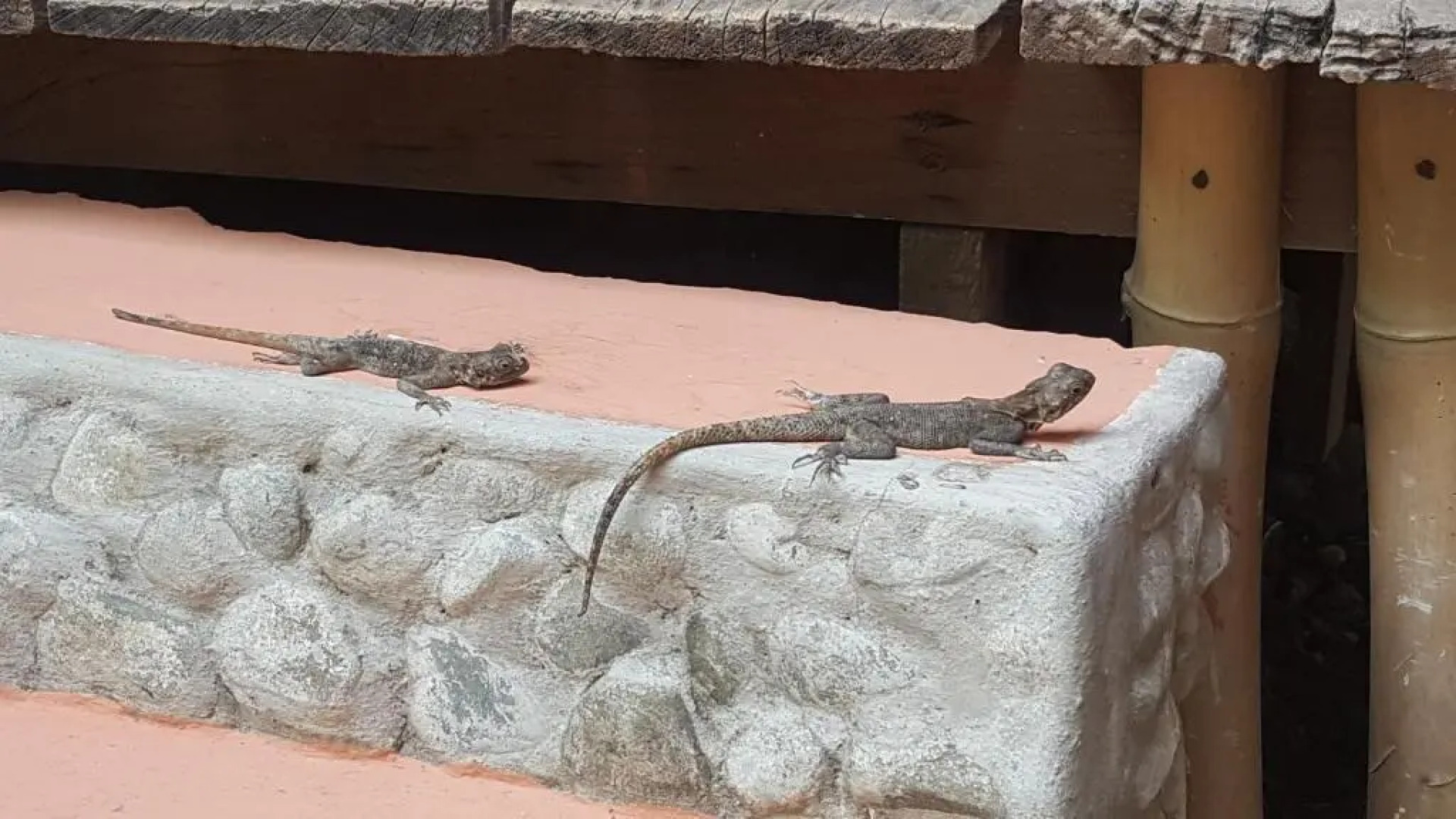 Cocoa Village Guesthouse