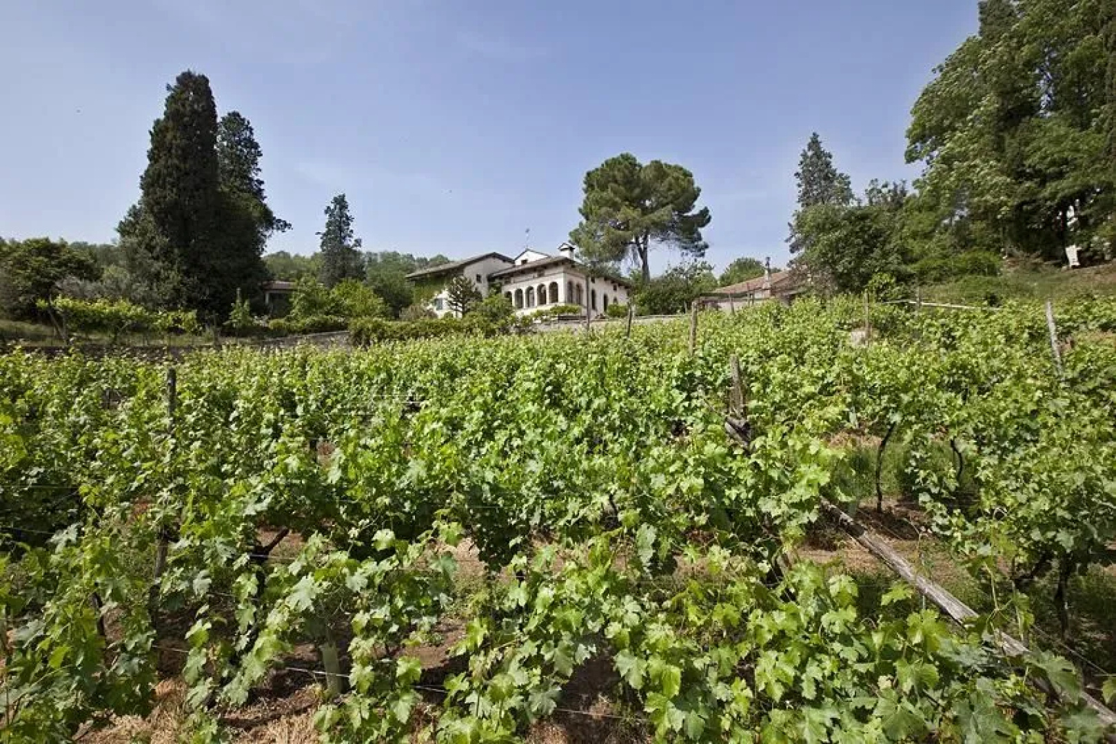 Fattoria Le Vegre