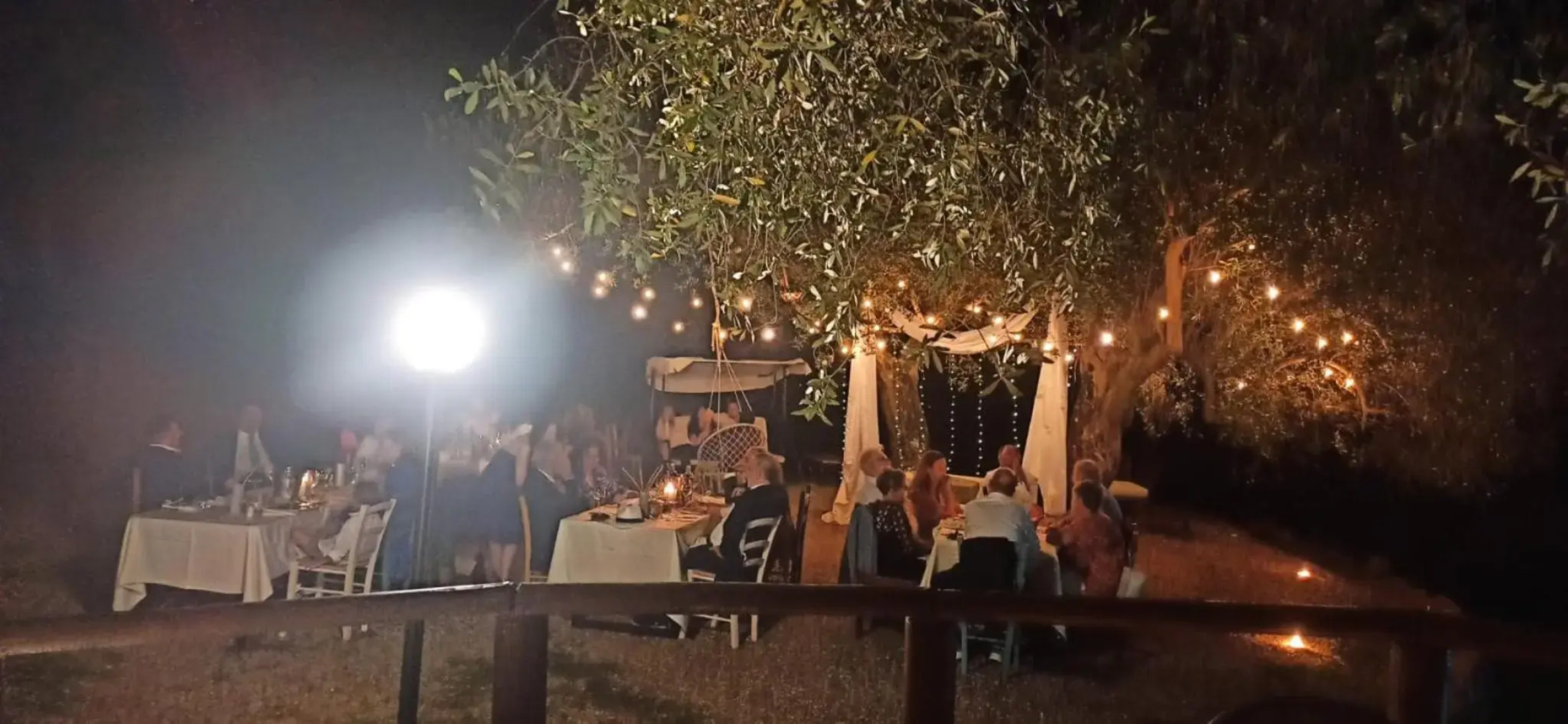 Tenuta Terre di Bosco