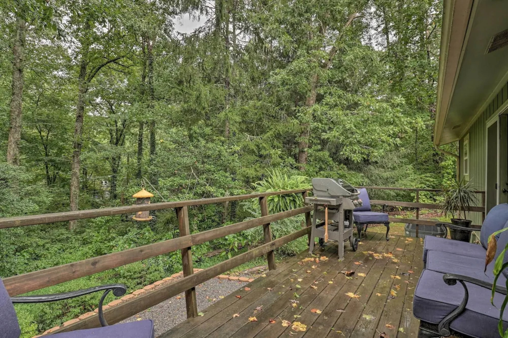 Peaceful Pisgah Forest Cottage w/ Fire Pit!