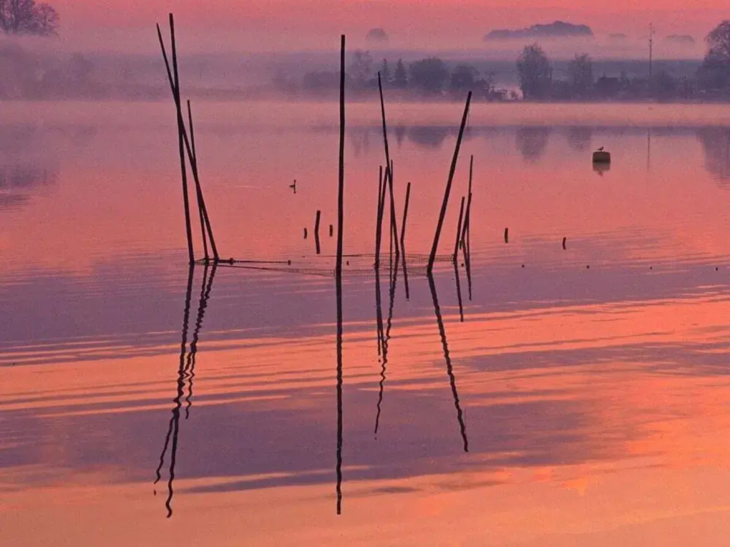 Fishing Luck in the Heart of Plau am See + Wifi