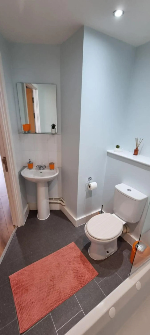 Modern and spacious Swansea centre apartment