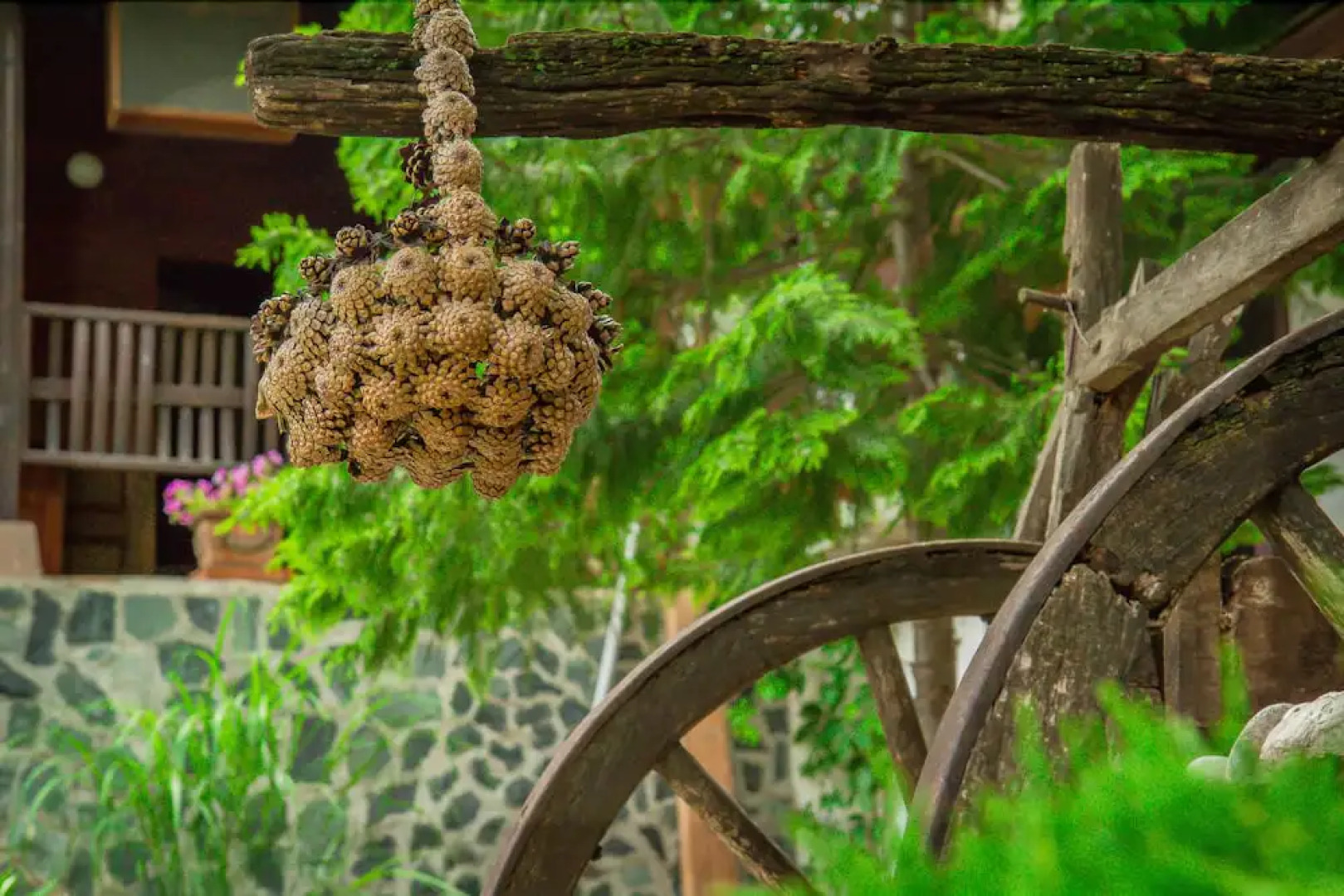 Todoroff Wine & Spa Hotel