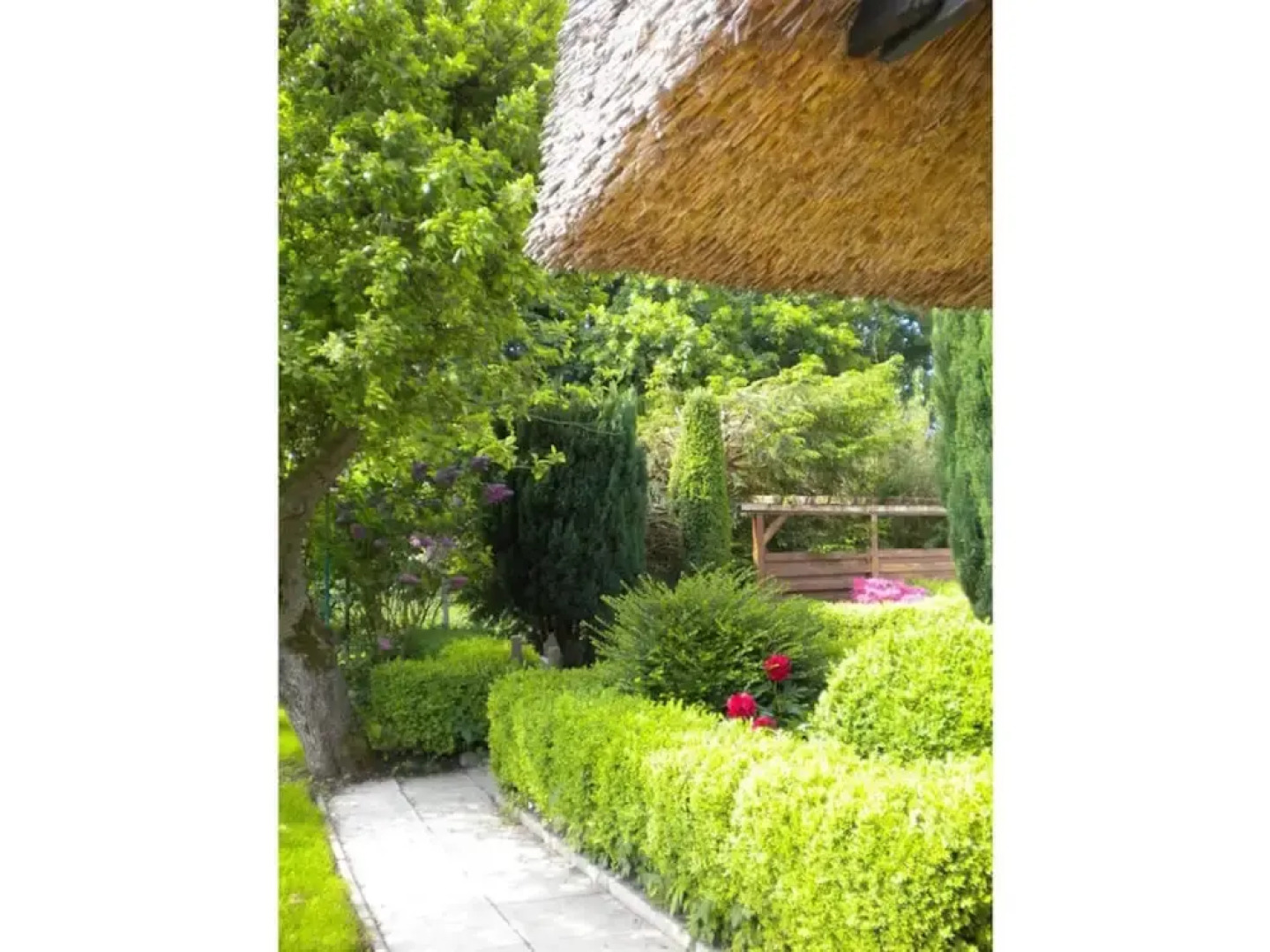 Strandnelke Modern Retreat