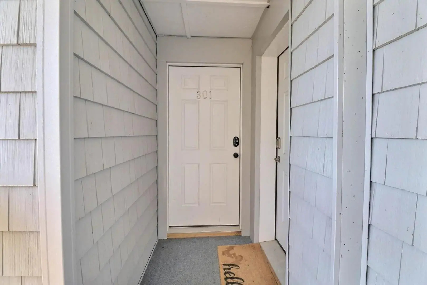 YC301 - Life's Porpoise