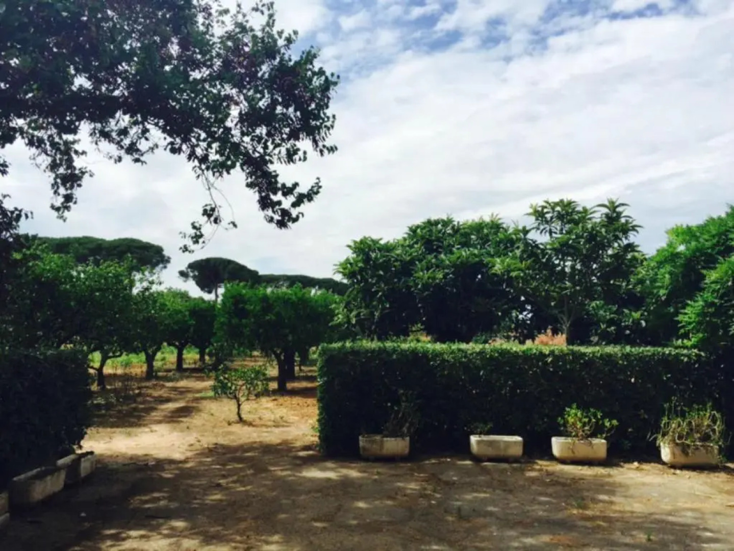 Casa Vacanze Villa Martino