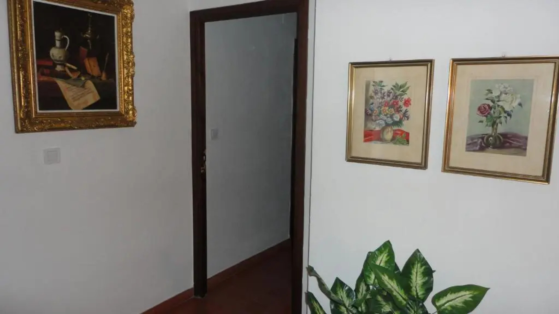 Laguneta 32 GRAZALEMA