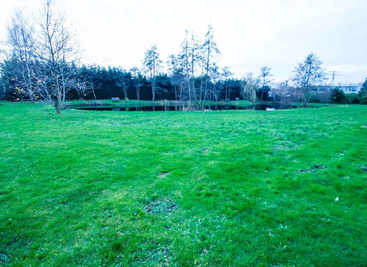 Hajé Hotel Heerenveen