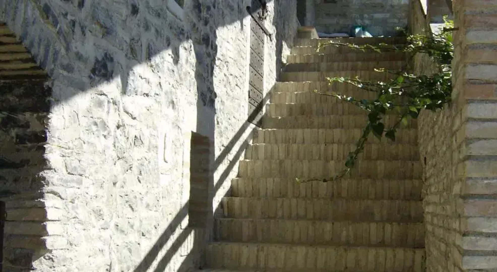 Il Barco di Bellaguardia