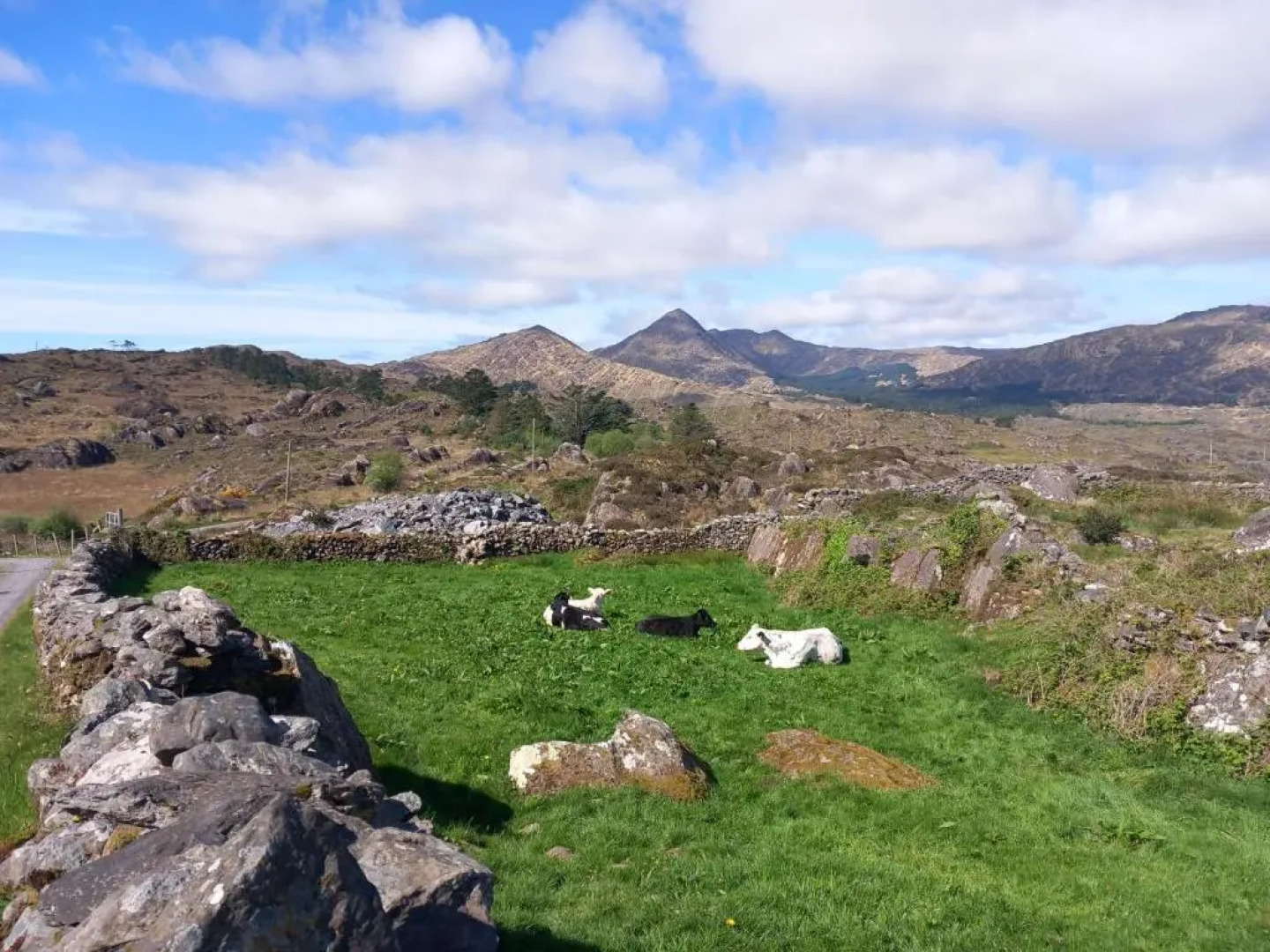 Cuckoo Tree House, Glengarriff, Beara Peninsula
