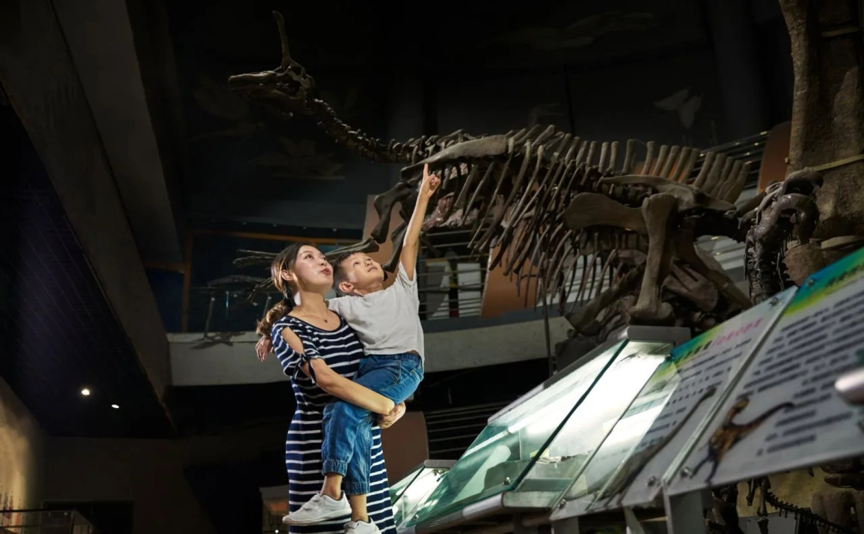 Sheraton Grand Zhengzhou Hotel