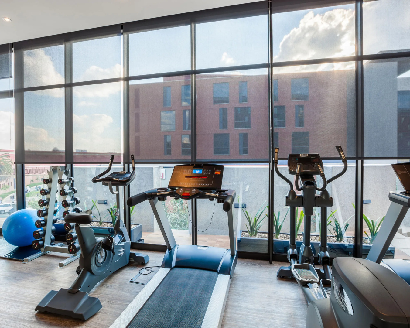 City Lodge Hotel Newtown