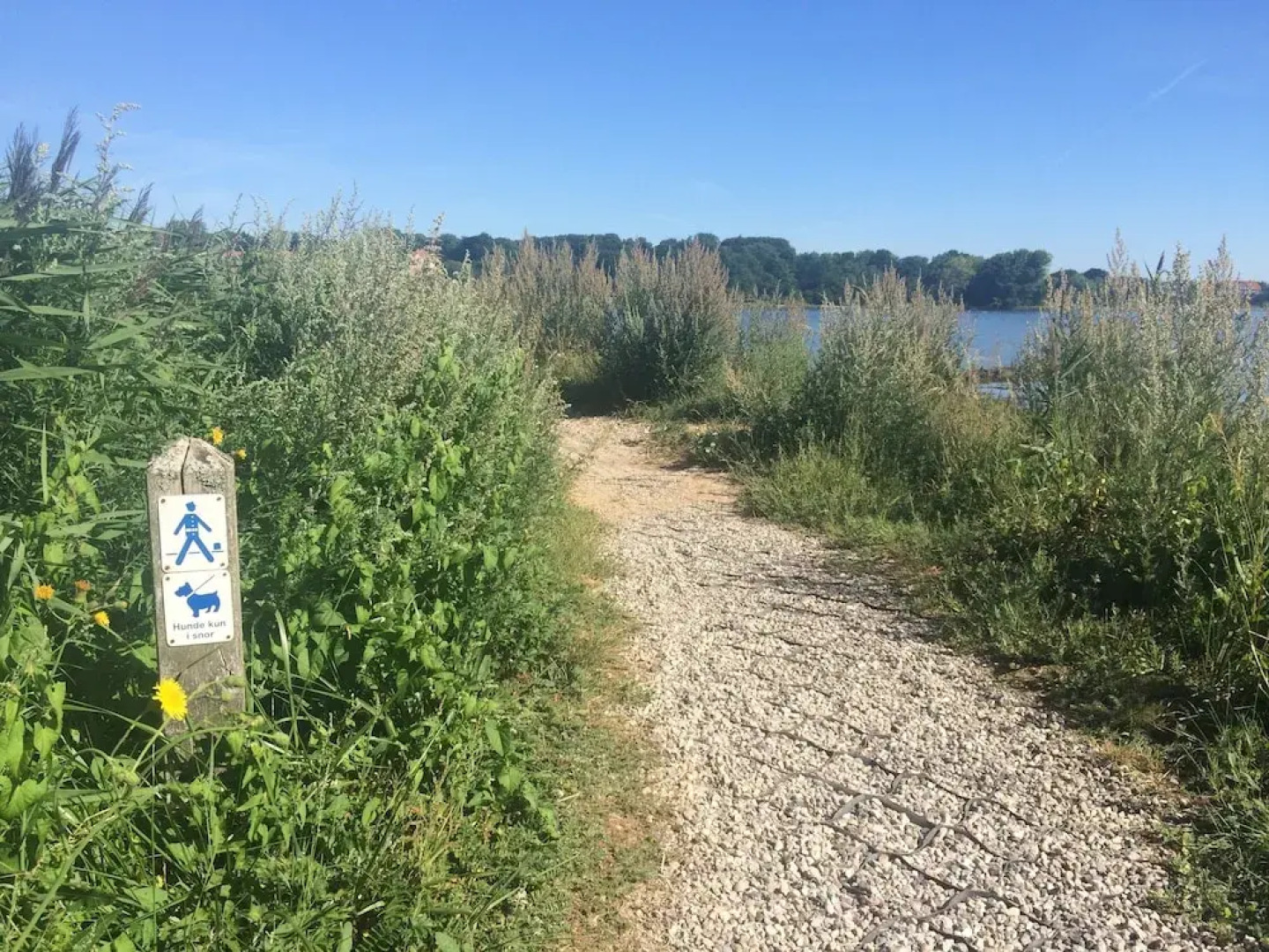 Benniksgaard Bed & Breakfast