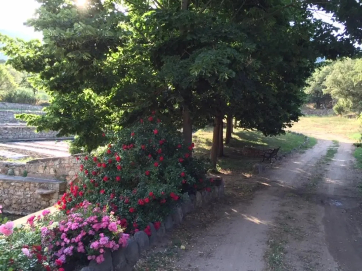 Appartement de 2 chambres avec jardin amenage et wifi a Moltifao