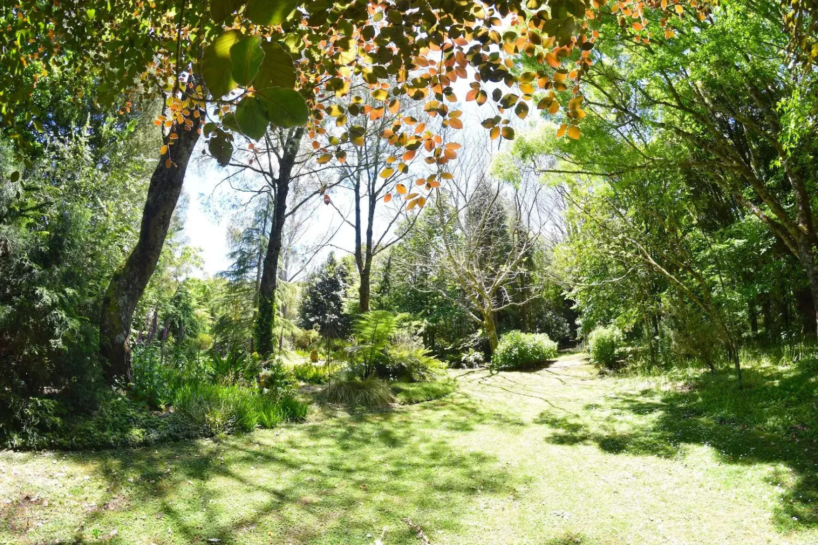 Te Popo Gardens Rural Retreat