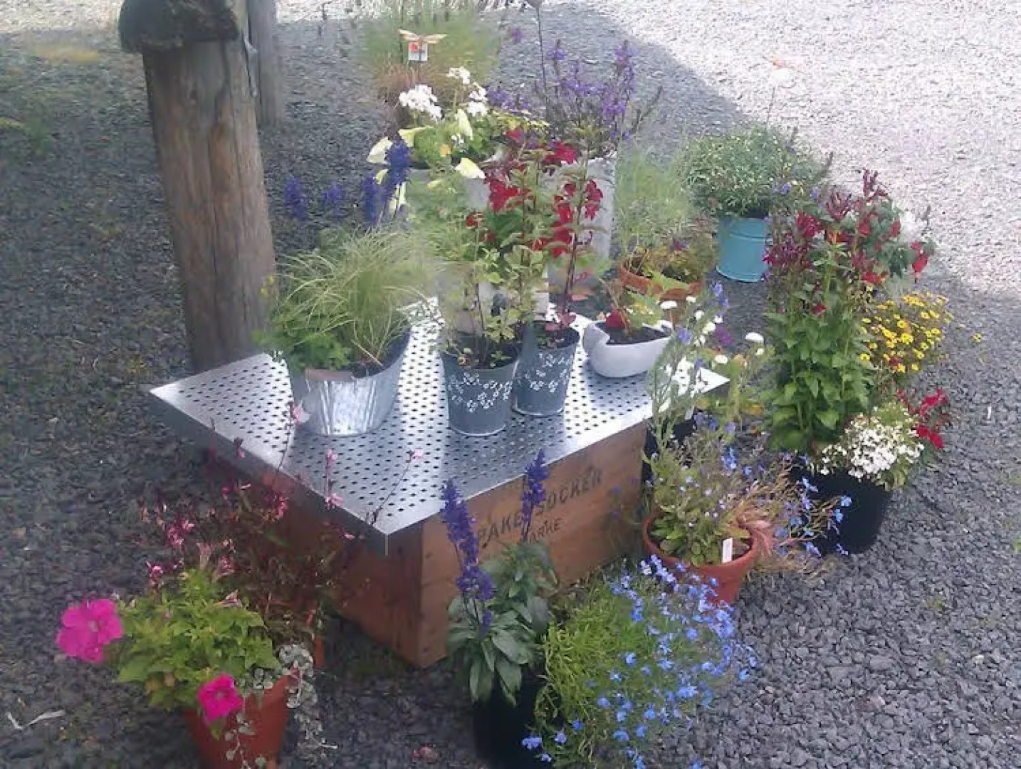 Stensholms Trädgård