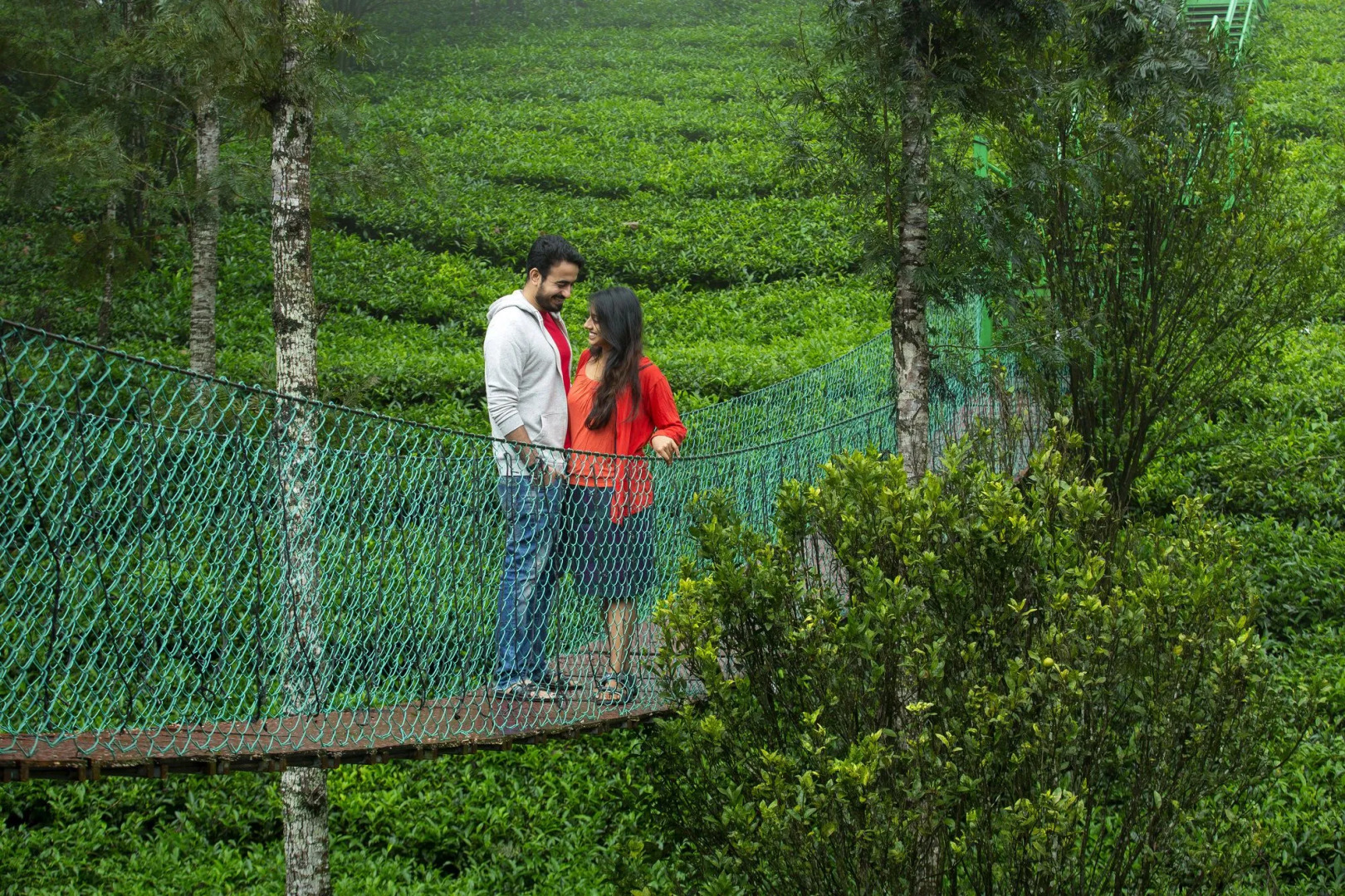 Dream Catcher Plantation Resort